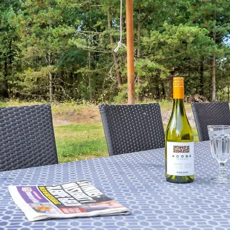 Romy - 3-5km From The Sea In Western Jutland By Interhome Holiday home